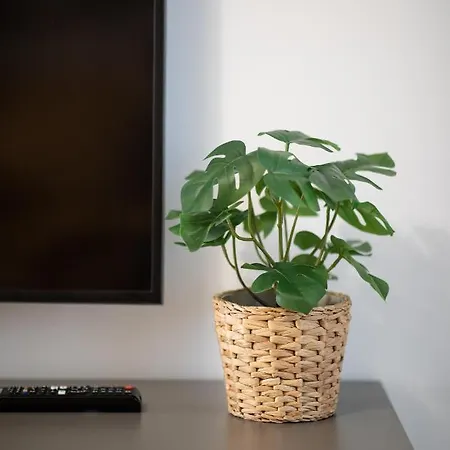 Imedio Velvet Aviatiei Apartament *