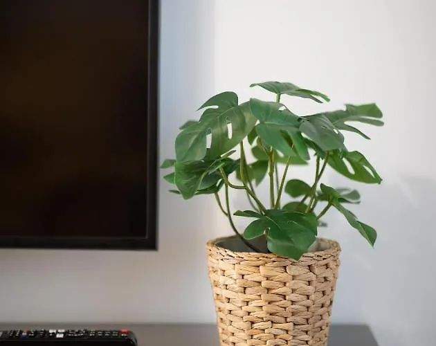 Imedio Velvet Aviatiei Apartmán *