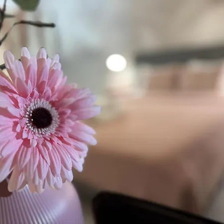 Imedio Velvet Aviatiei Apartament Bukareszt